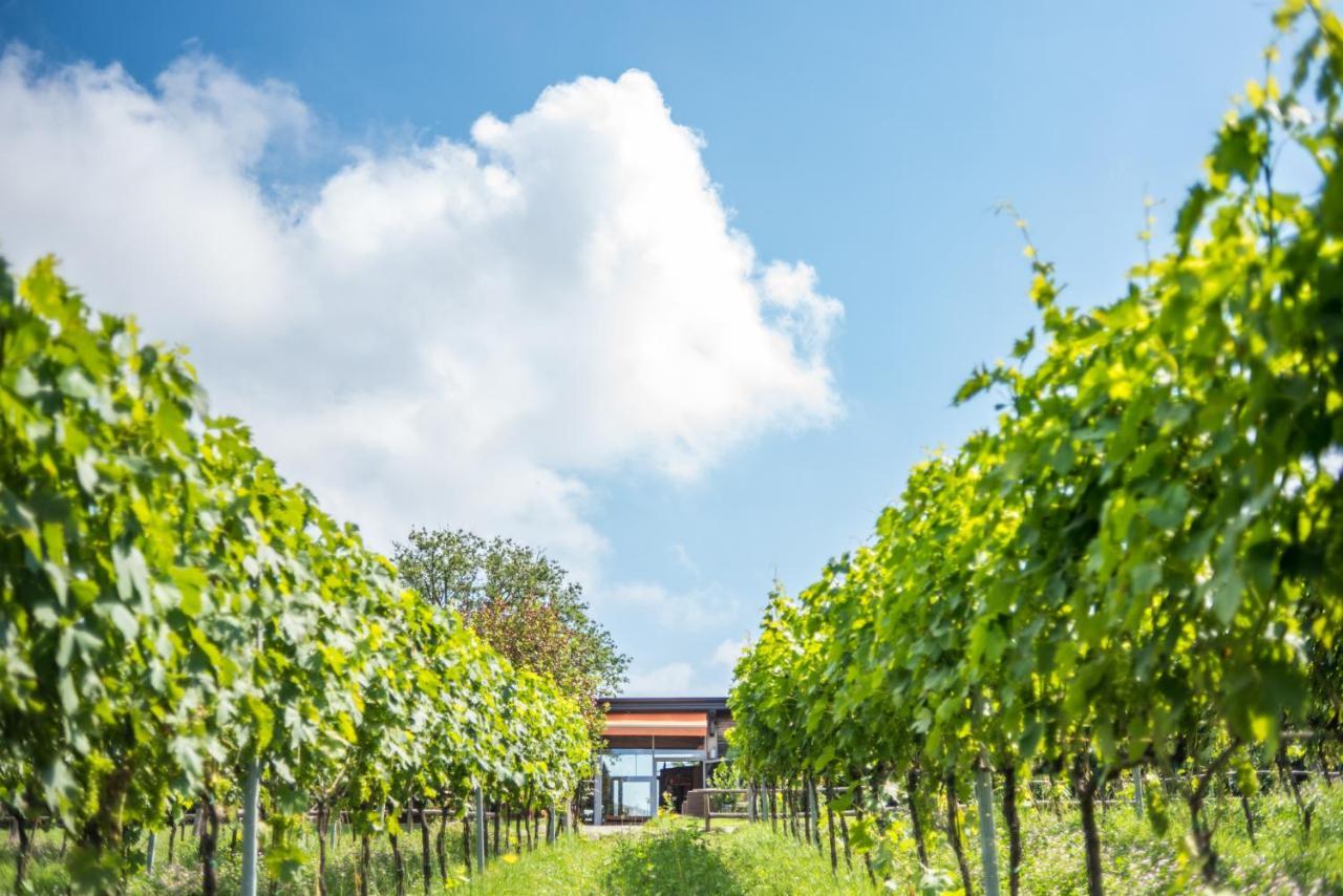 Valdonica Winery Fine Dine & Wine Hotel Sassofortino Экстерьер фото