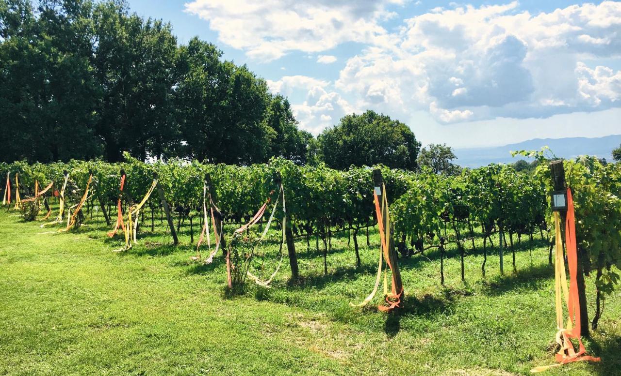 Valdonica Winery Fine Dine & Wine Hotel Sassofortino Экстерьер фото