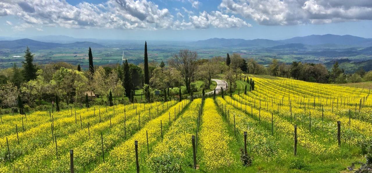 Valdonica Winery Fine Dine & Wine Hotel Sassofortino Экстерьер фото