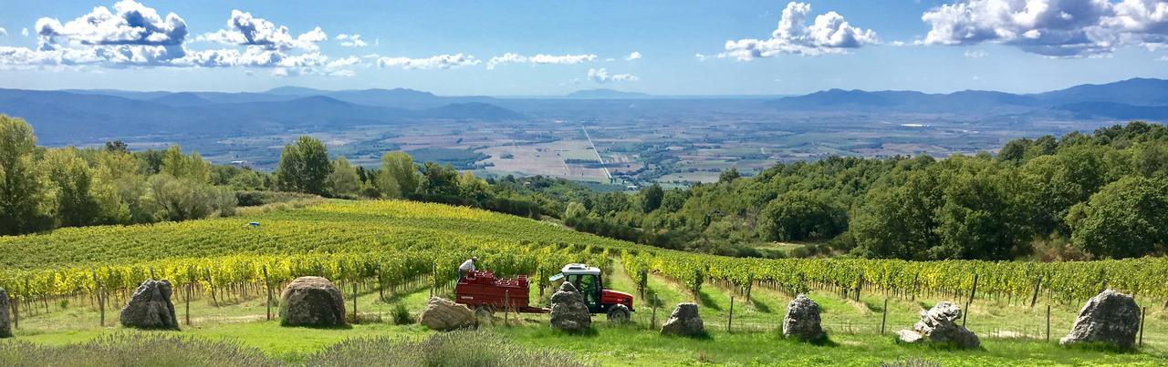 Valdonica Winery Fine Dine & Wine Hotel Sassofortino Экстерьер фото