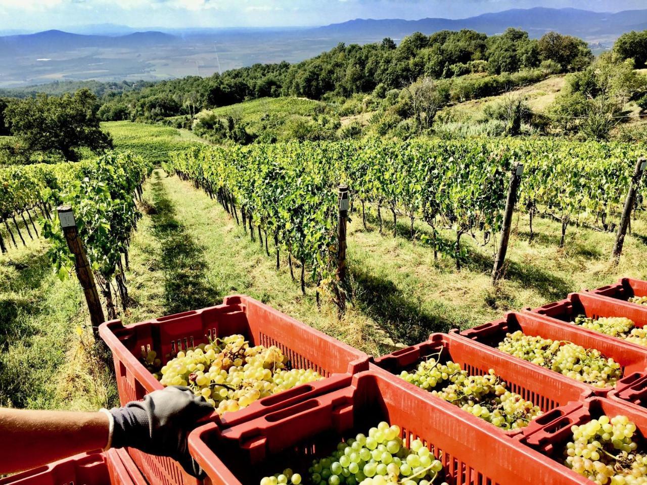 Valdonica Winery Fine Dine & Wine Hotel Sassofortino Экстерьер фото